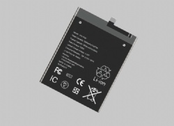 Consumer lithium batteries